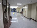 IMG_0329