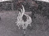 DSCF0638